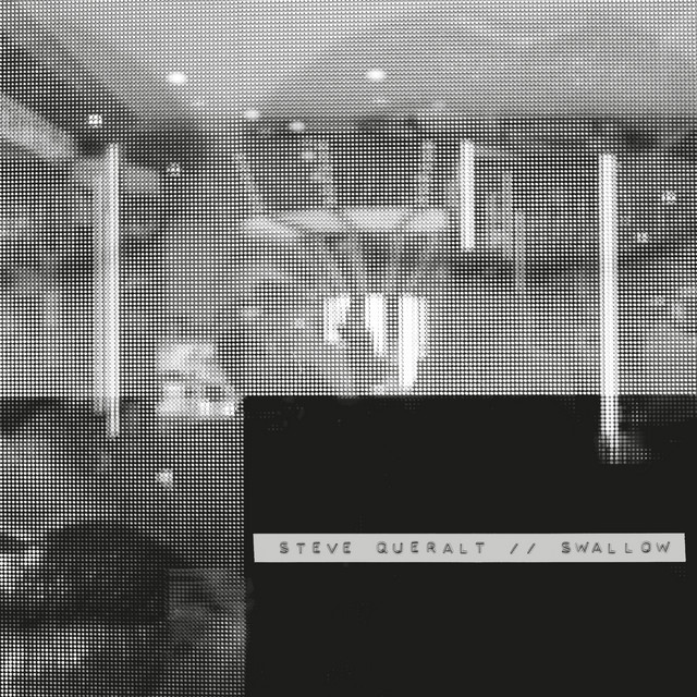 Swallow by Steve Queralt