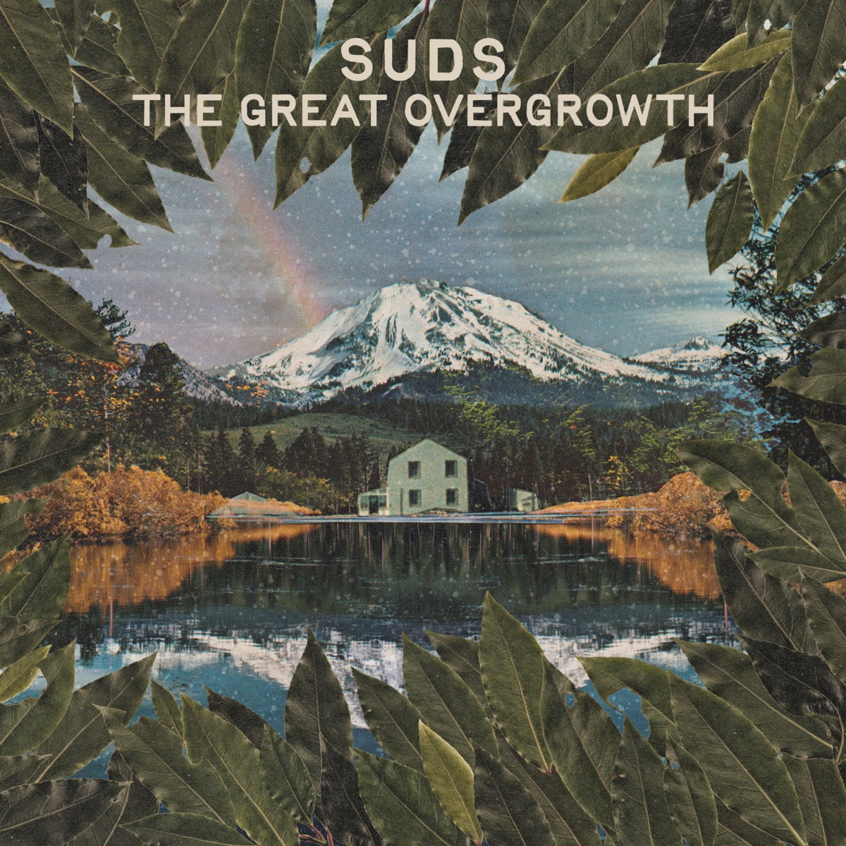 The Great Overgrowth by SUDS