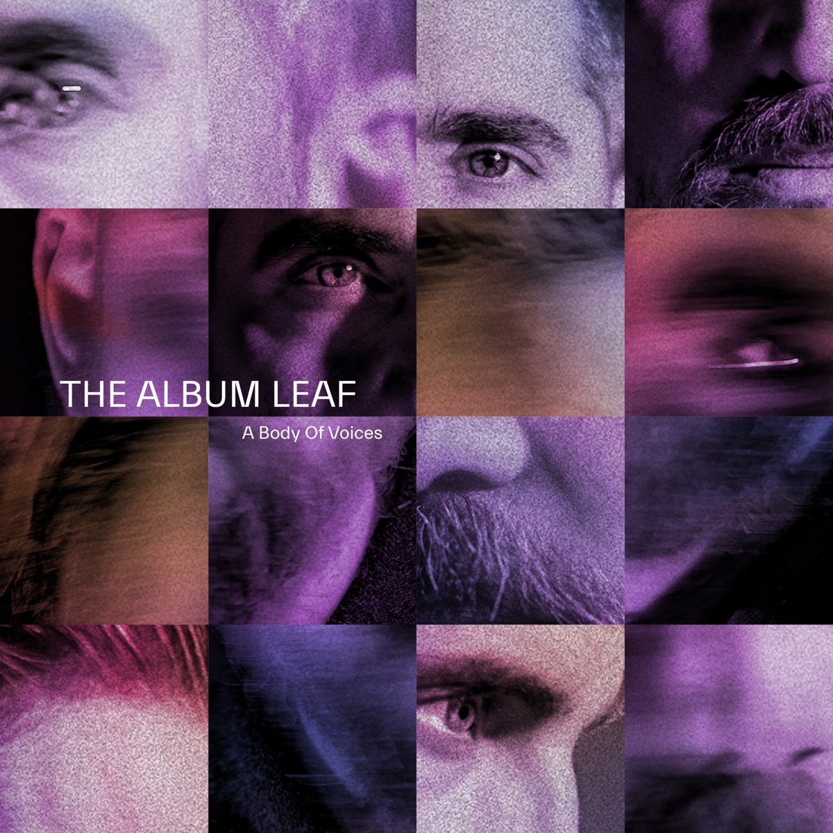 A Body Of Voices by The Album Leaf