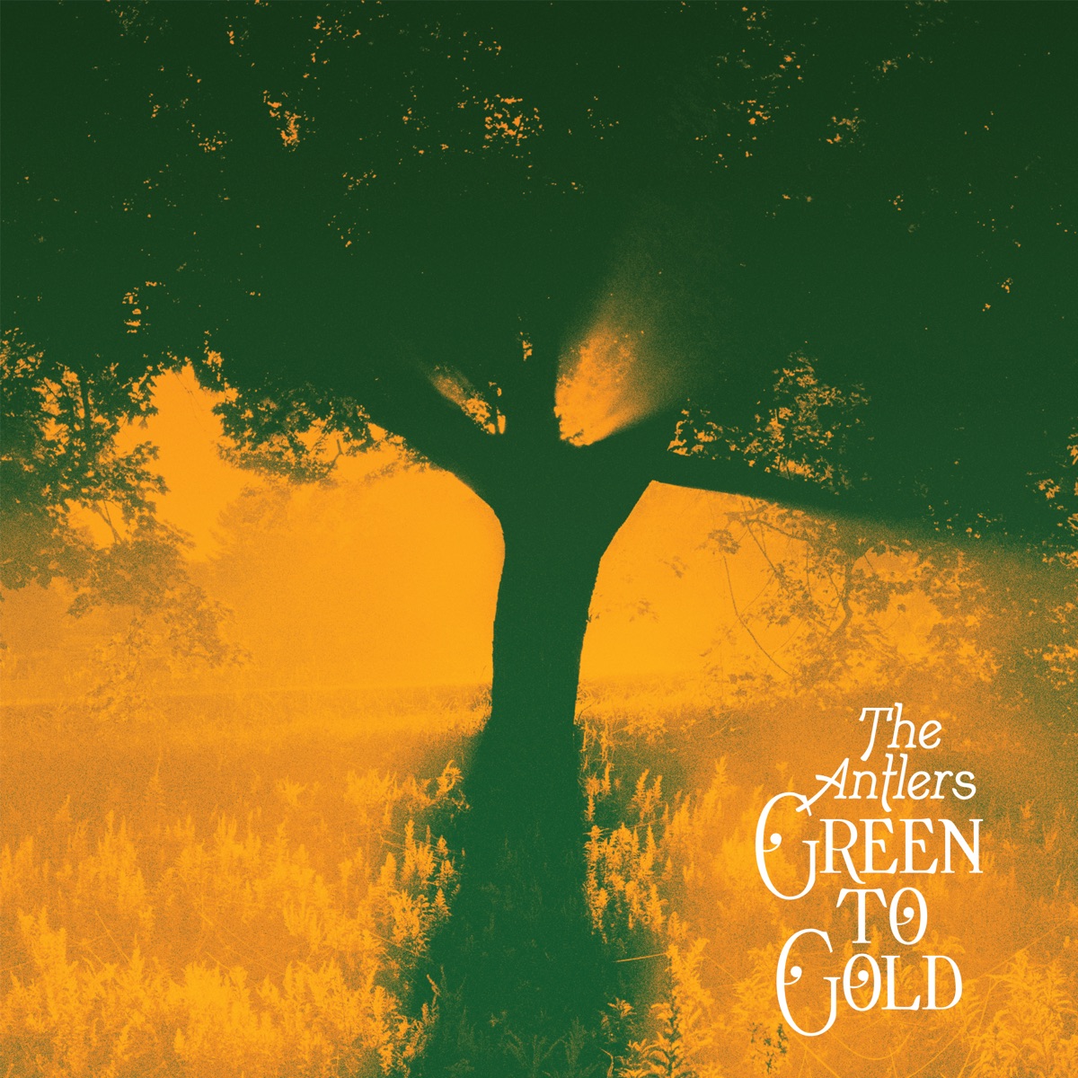Green to Gold by The Antlers