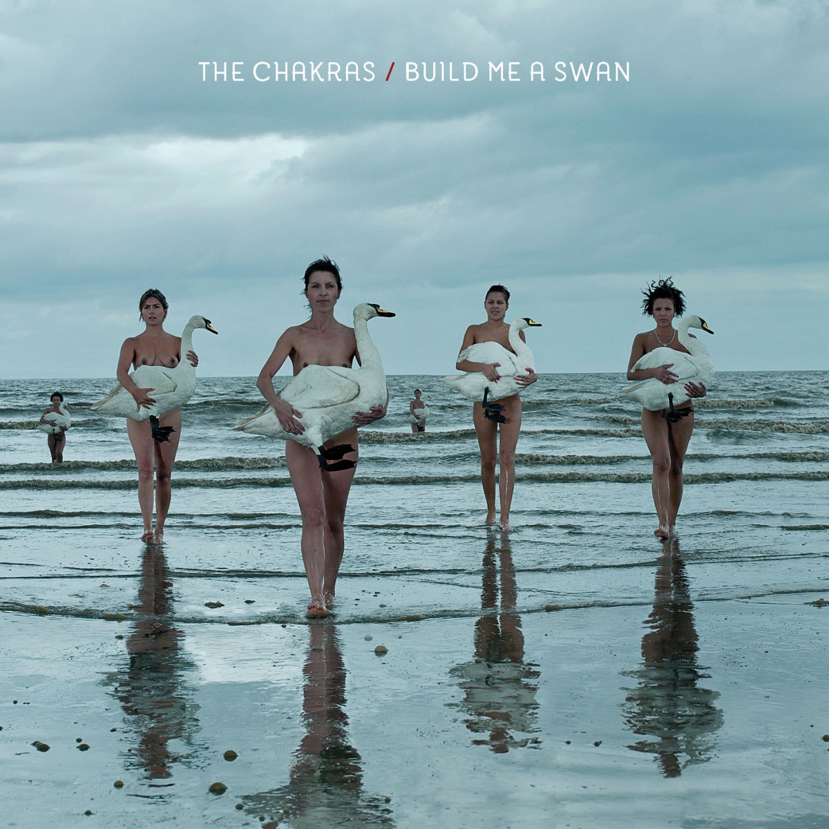 Build Me a Swan by The Chakras