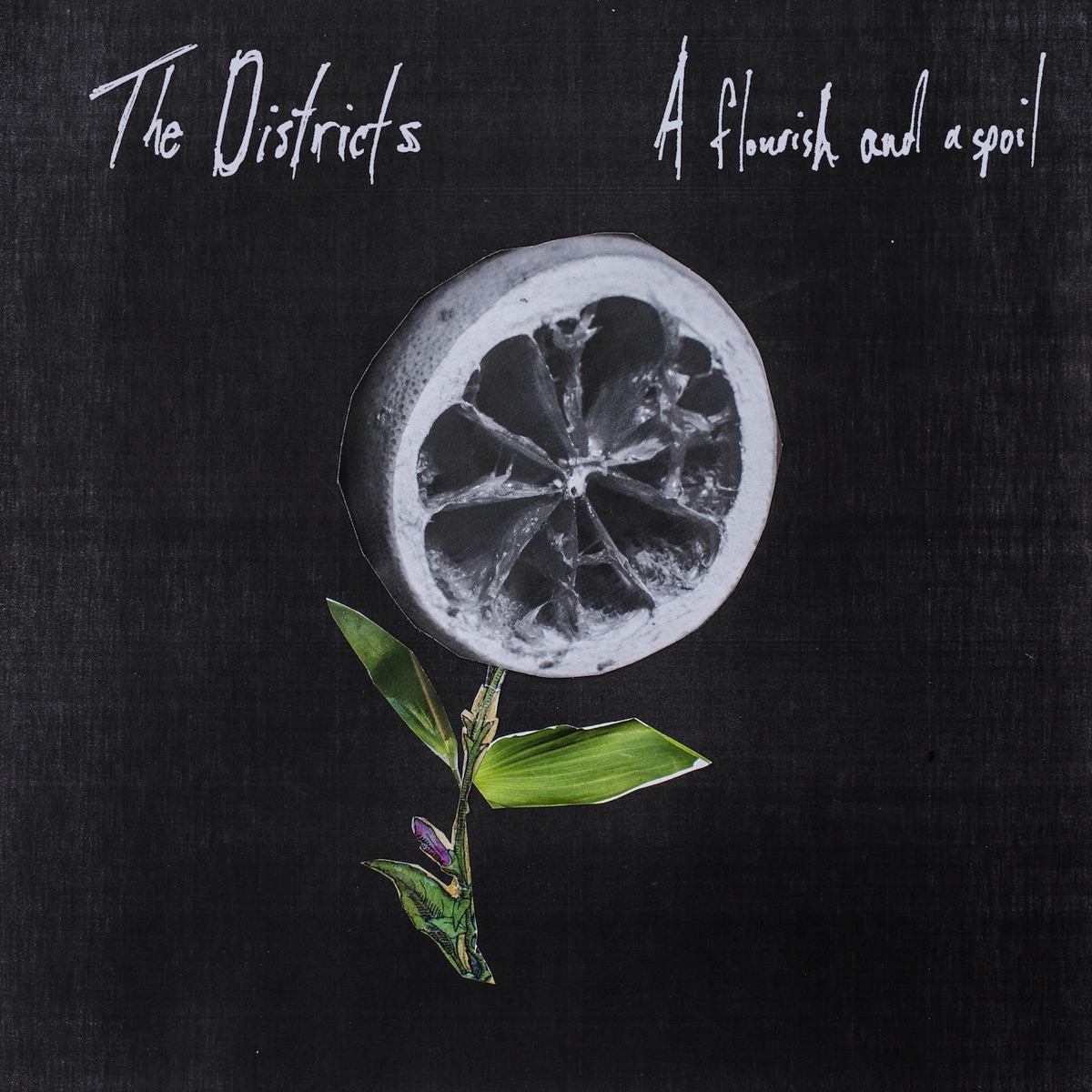 A Flourish and a Spoil by The Districts