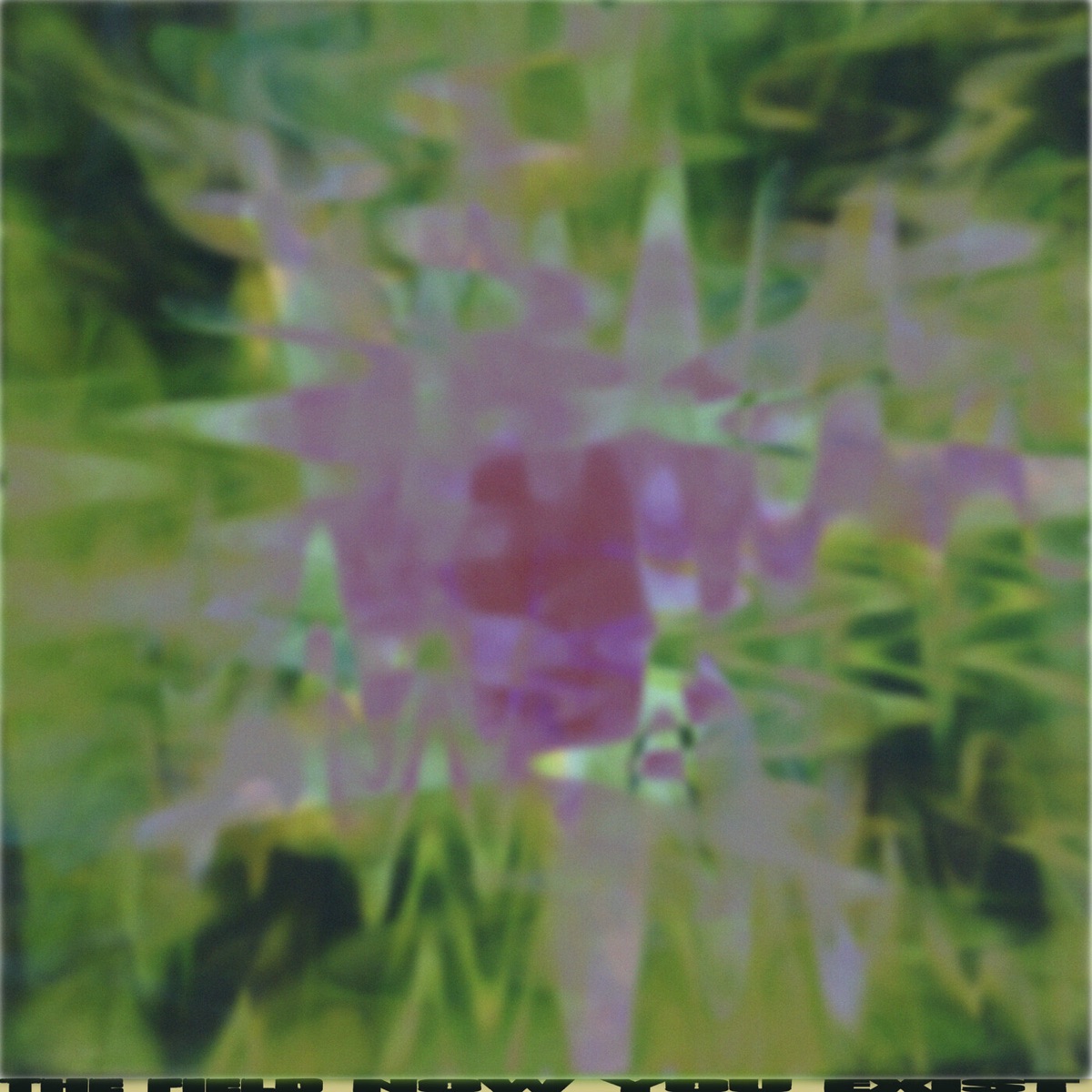Now You Exist by The Field