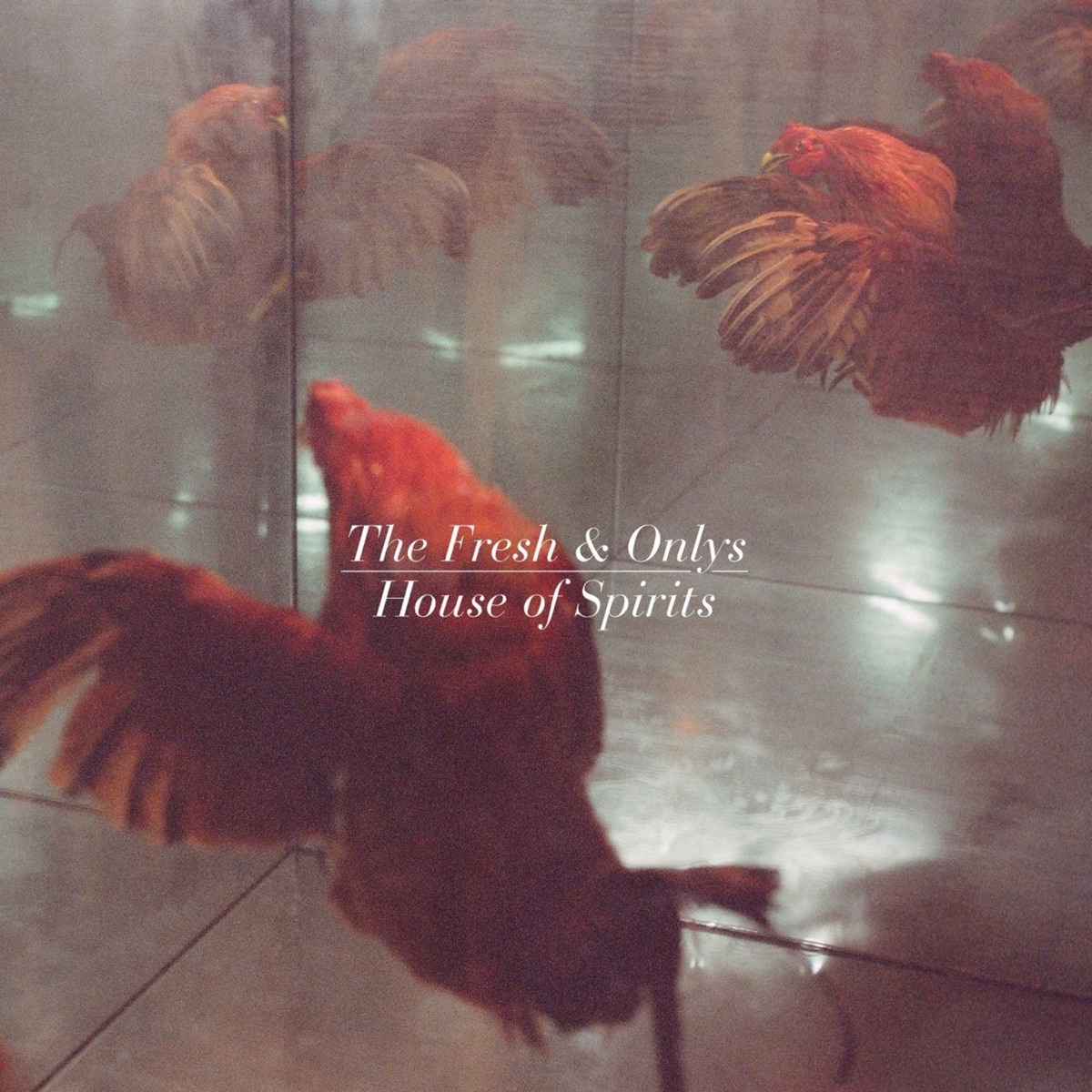 House of Spirits by The Fresh & Onlys