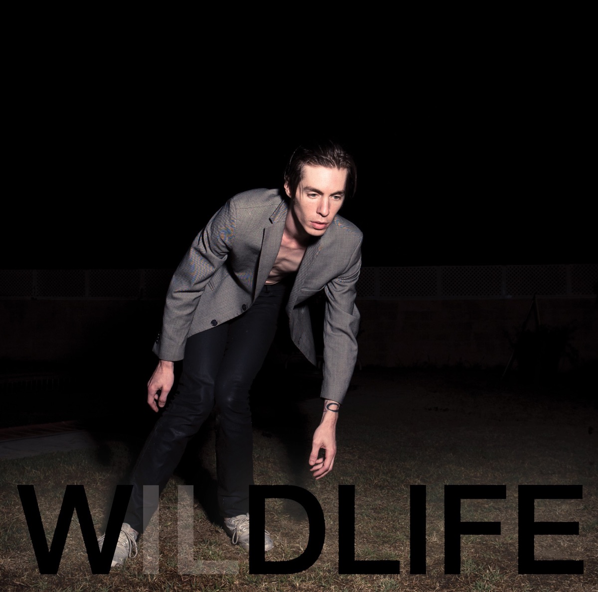 Wildlife by The Icarus Line