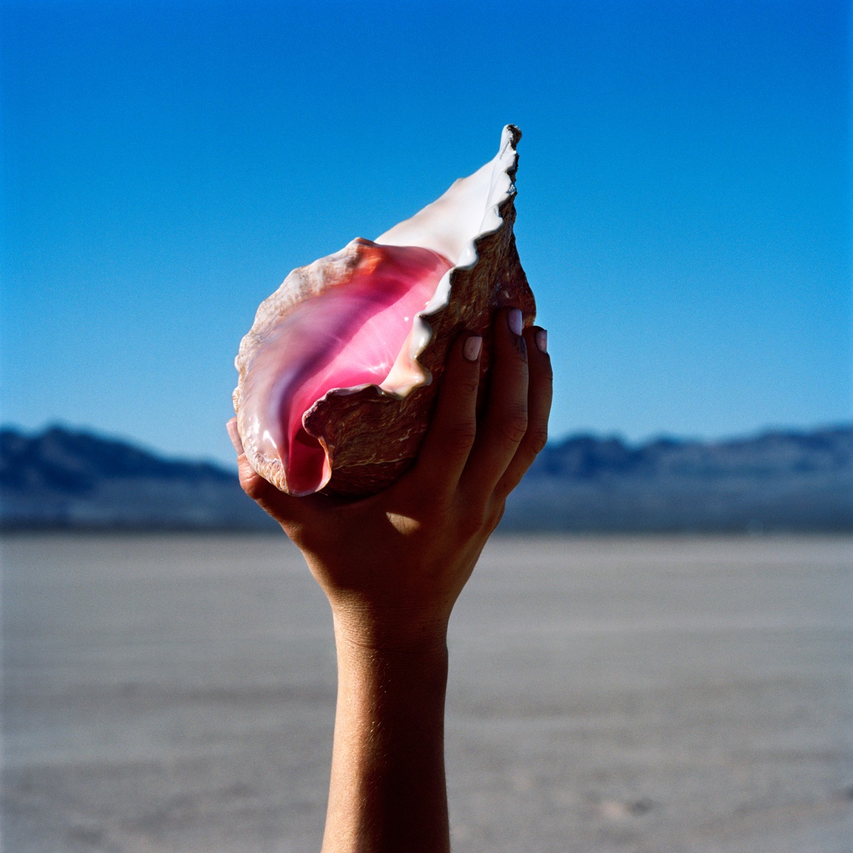 Wonderful Wonderful by The Killers
