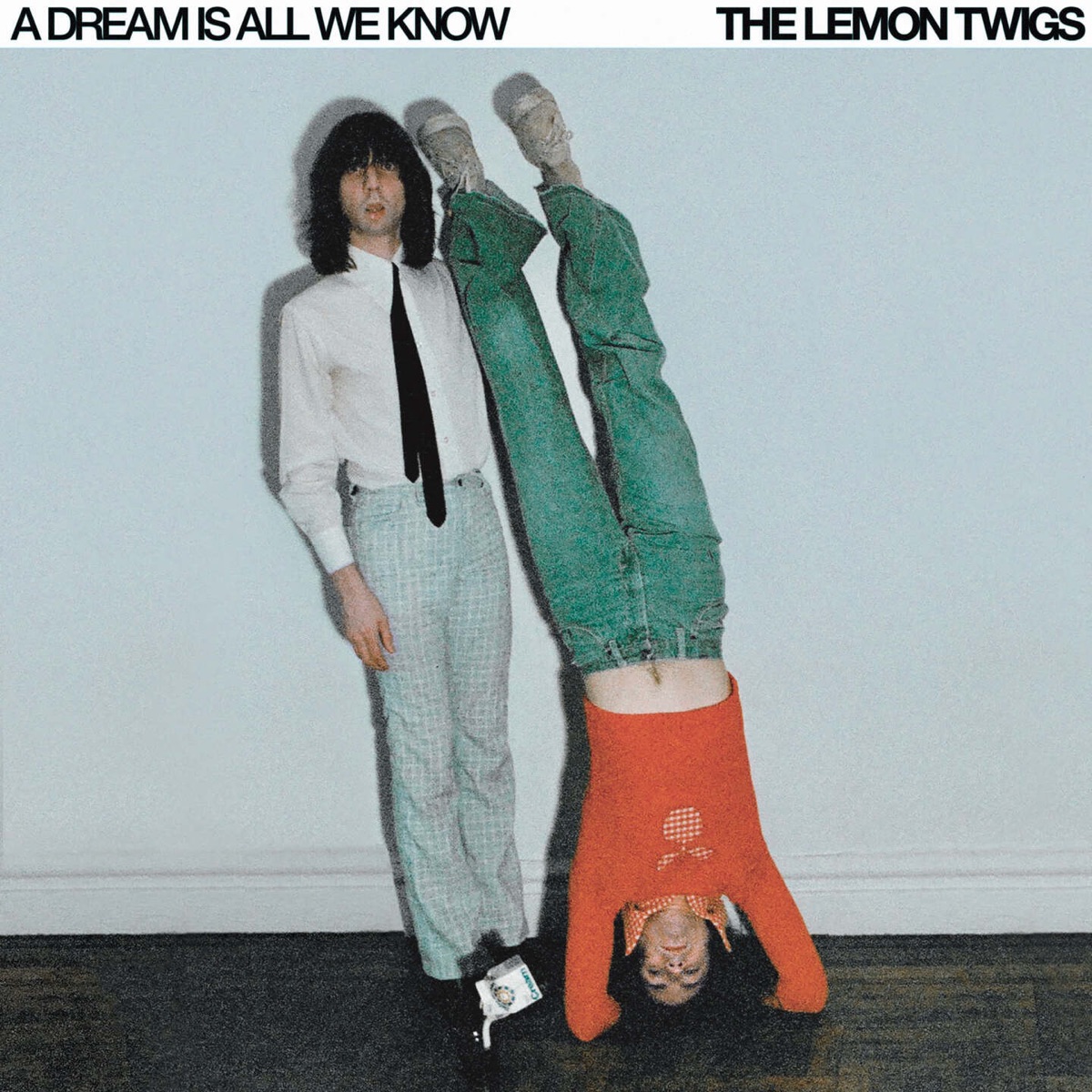 A Dream Is All We Know by The Lemon Twigs