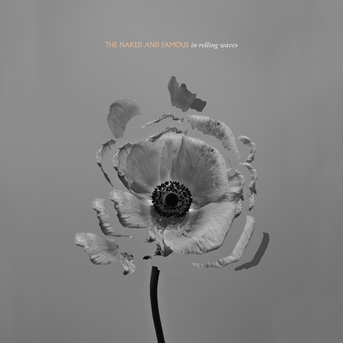 In Rolling Waves by The Naked and Famous