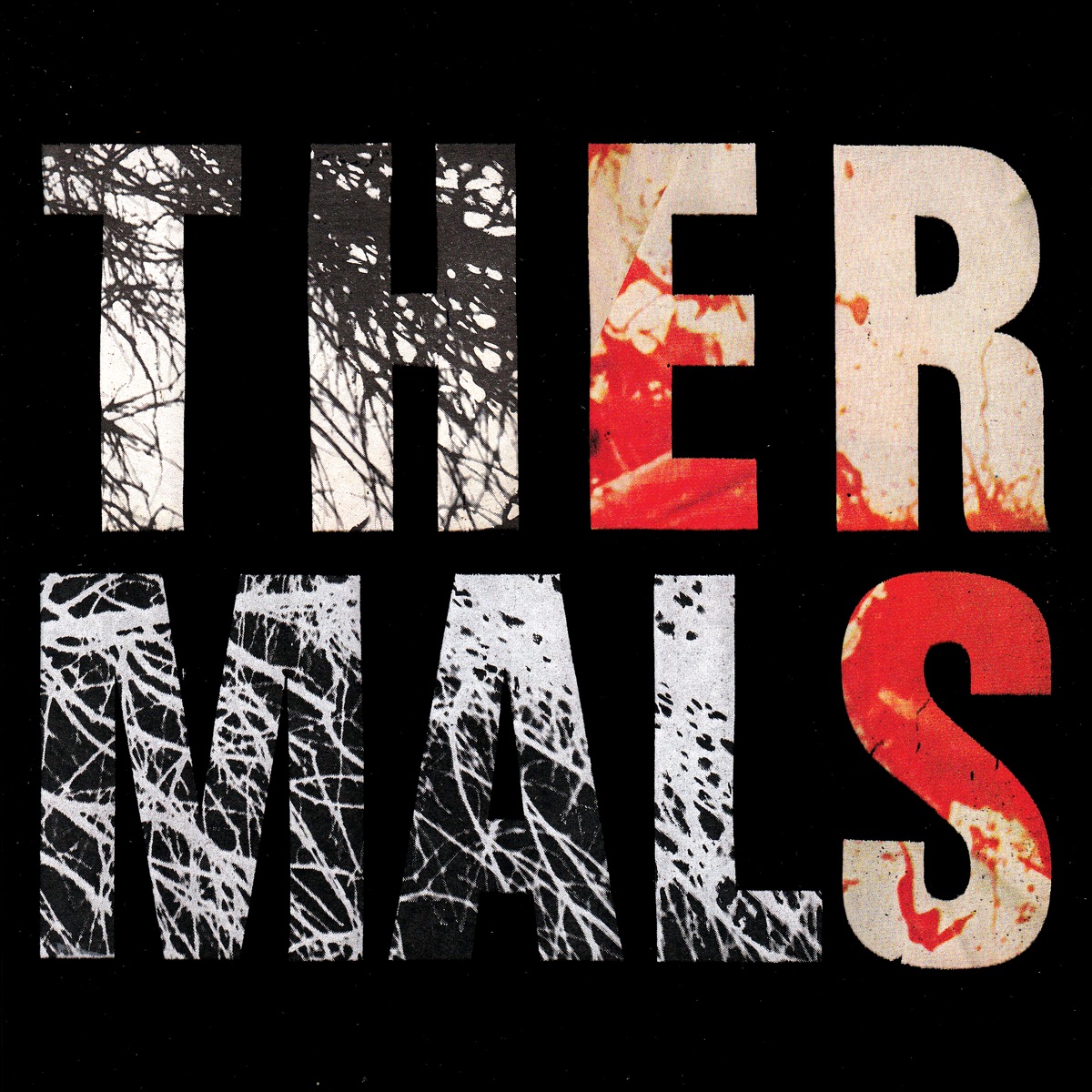 Desperate Ground by The Thermals
