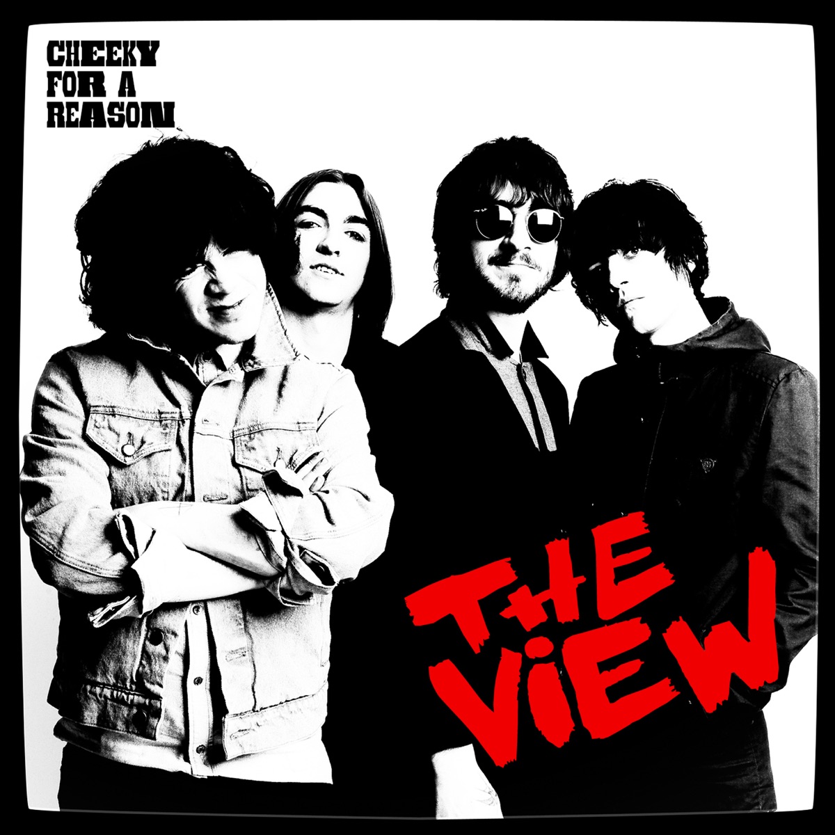Cheeky For A Reason by The View