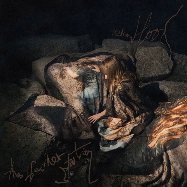 Humanhood by The Weather Station