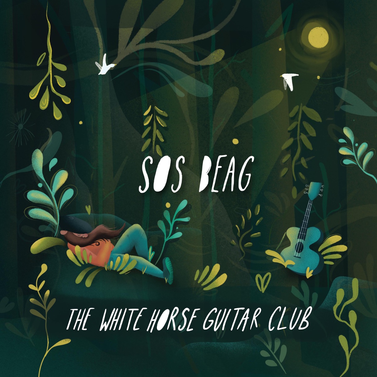 Sos Beag by The White Horse Guitar Club