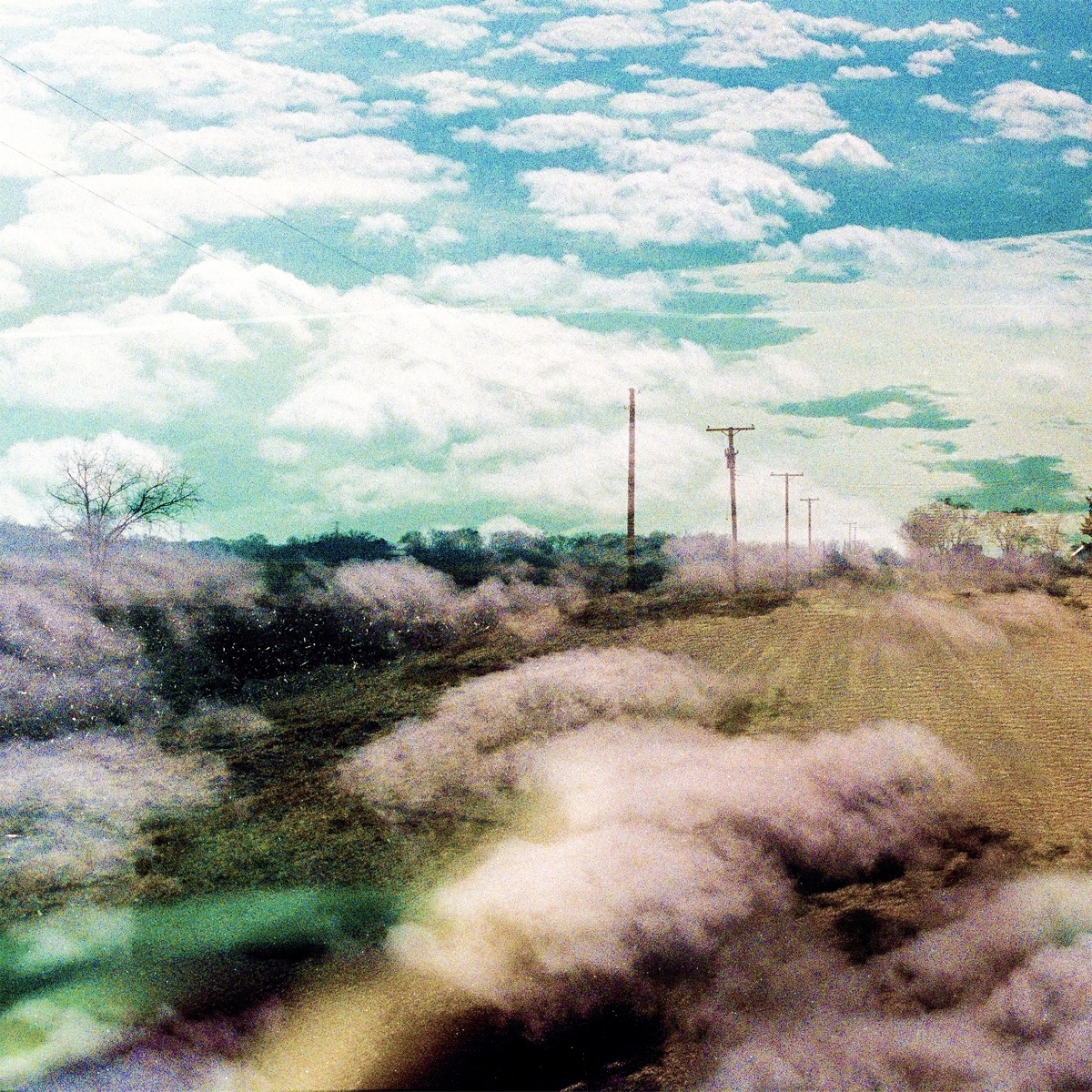 Always Foreign by The World Is a Beautiful Place & I Am No Longer Afraid to Die