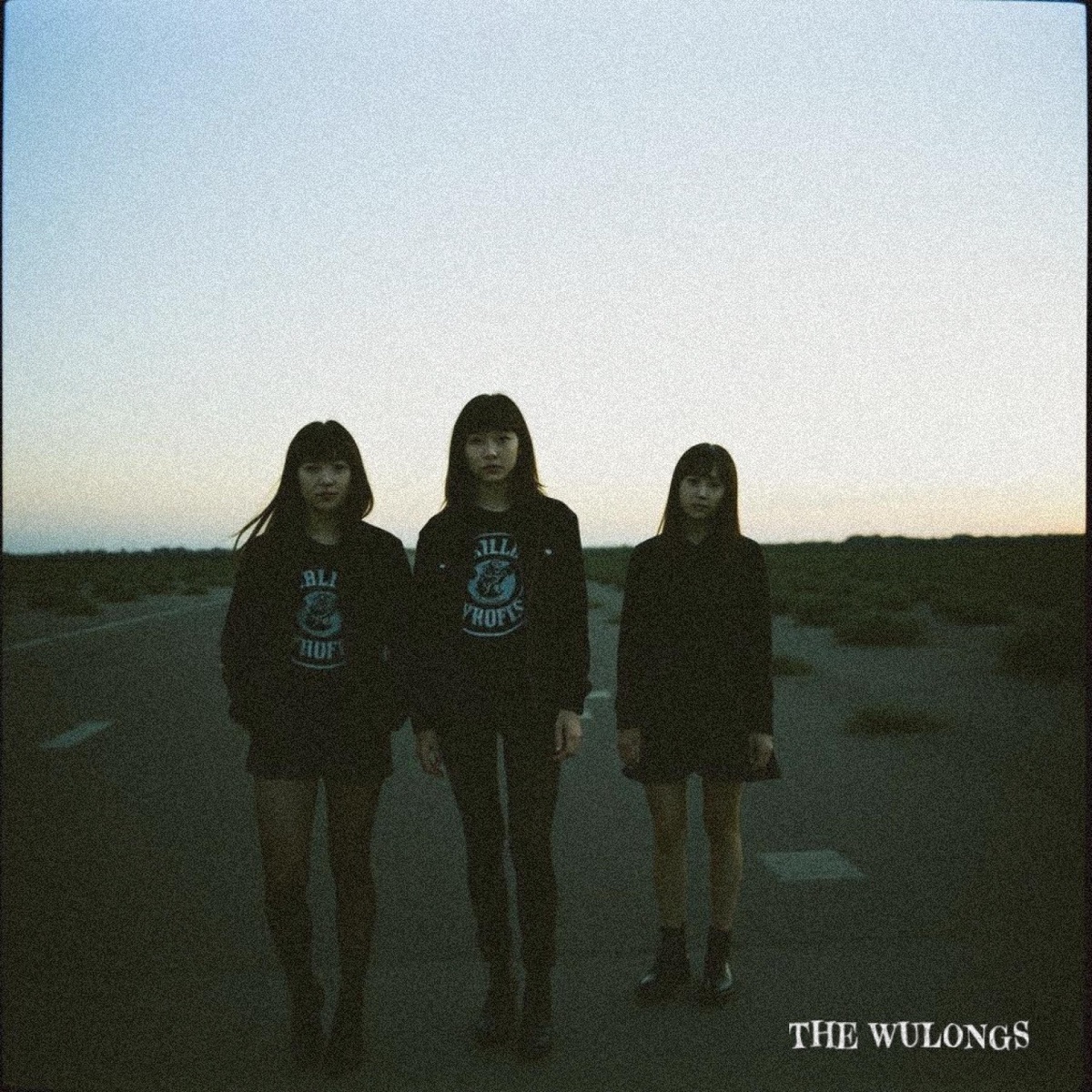 Videodrome by the Wulongs