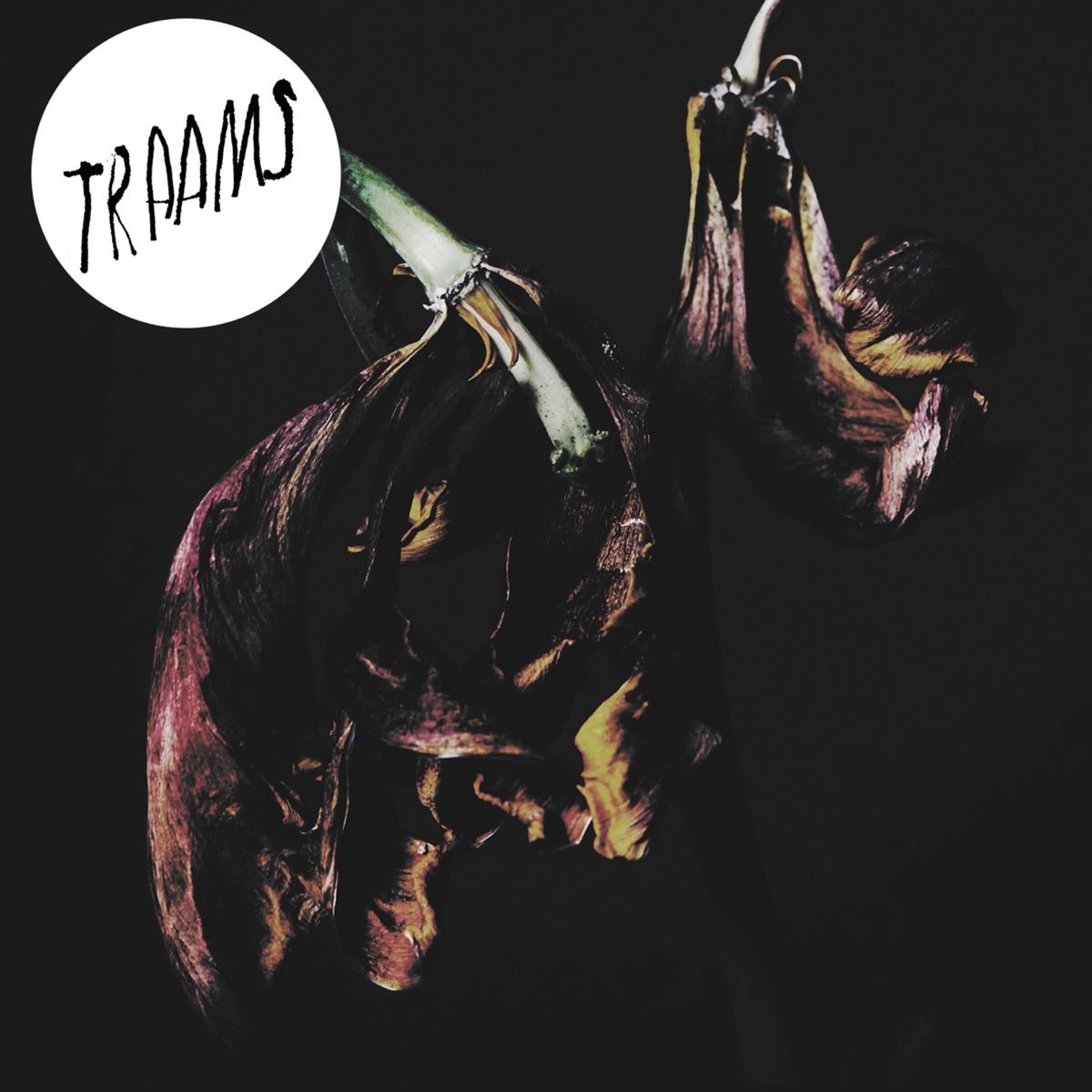 Grin by TRAAMS