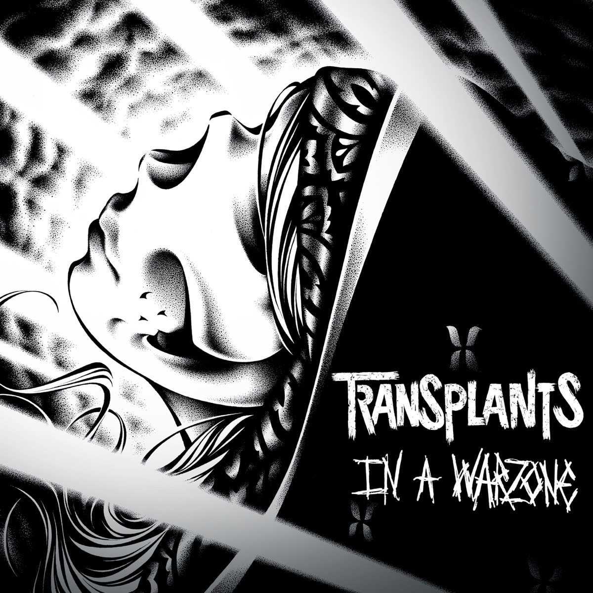In a Warzone by Transplants