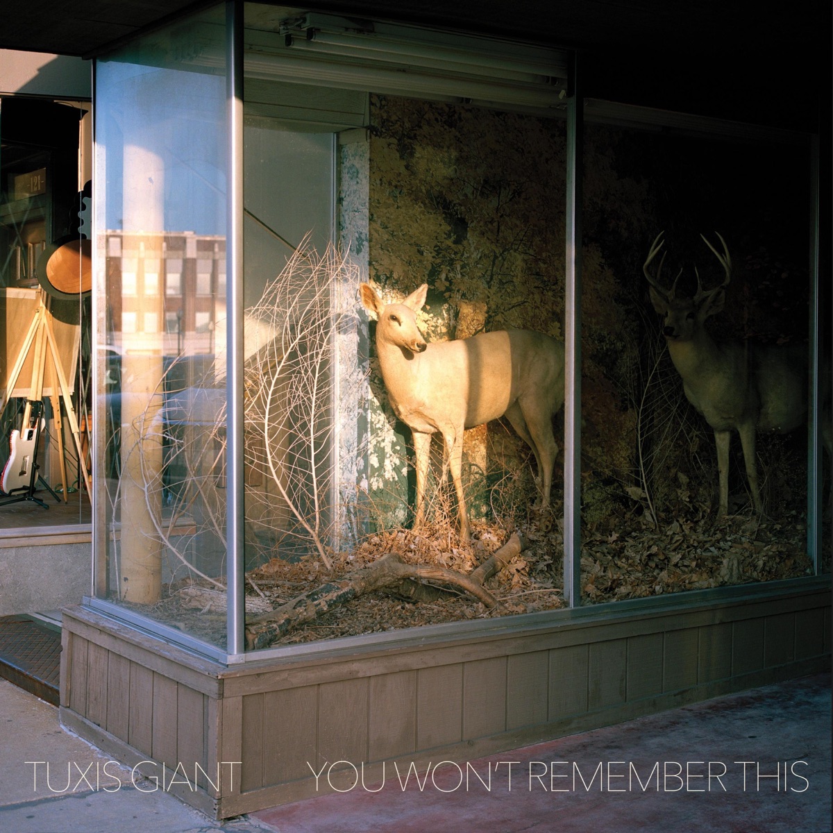 You Won't Remember This by Tuxis Giant