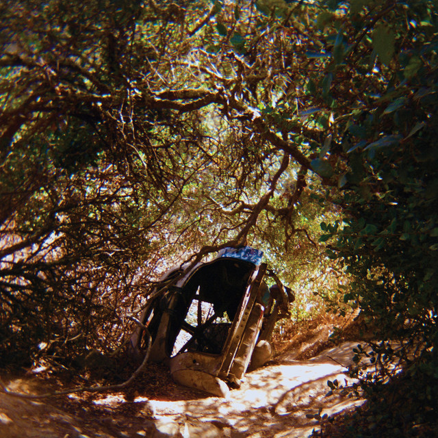 Possession by Ty Segall