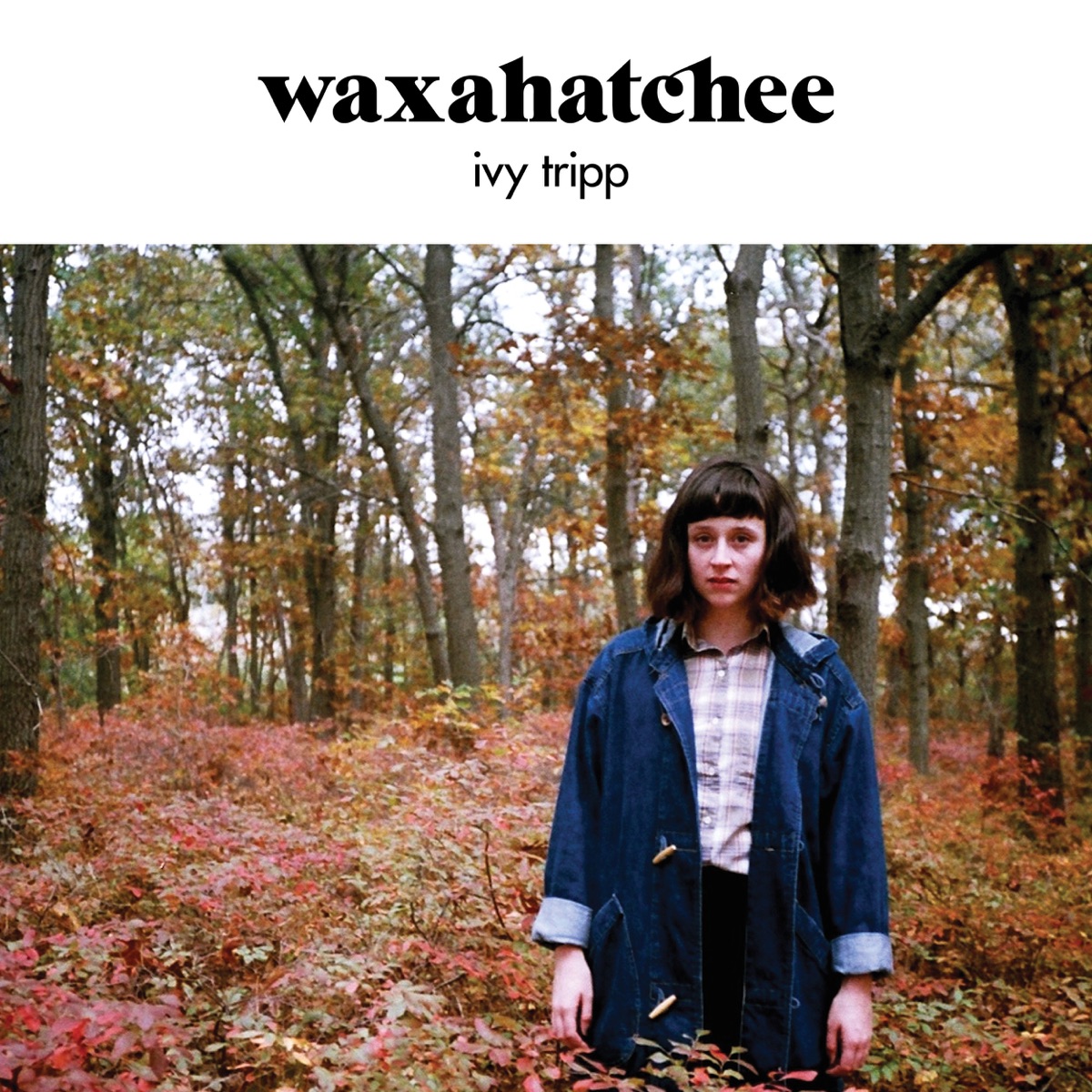 Ivy Tripp by Waxahatchee