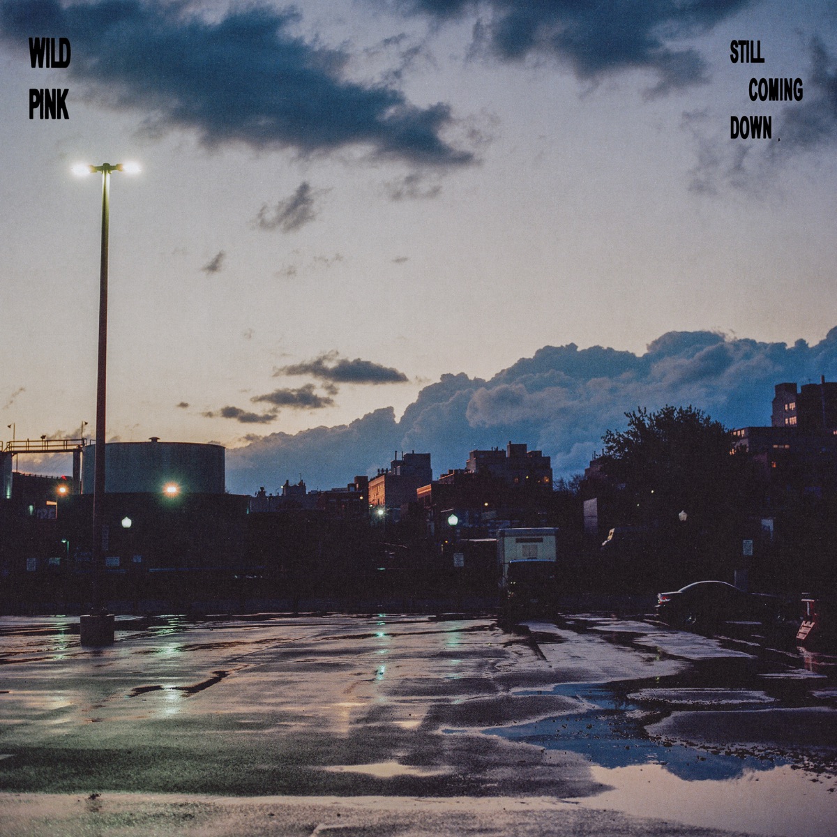 Still Coming Down by Wild Pink