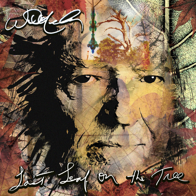 Last Leaf on the Tree by Willie Nelson