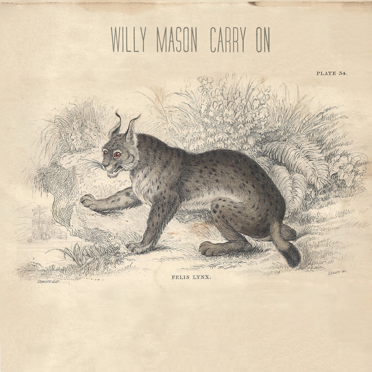 Carry On by Willy Mason